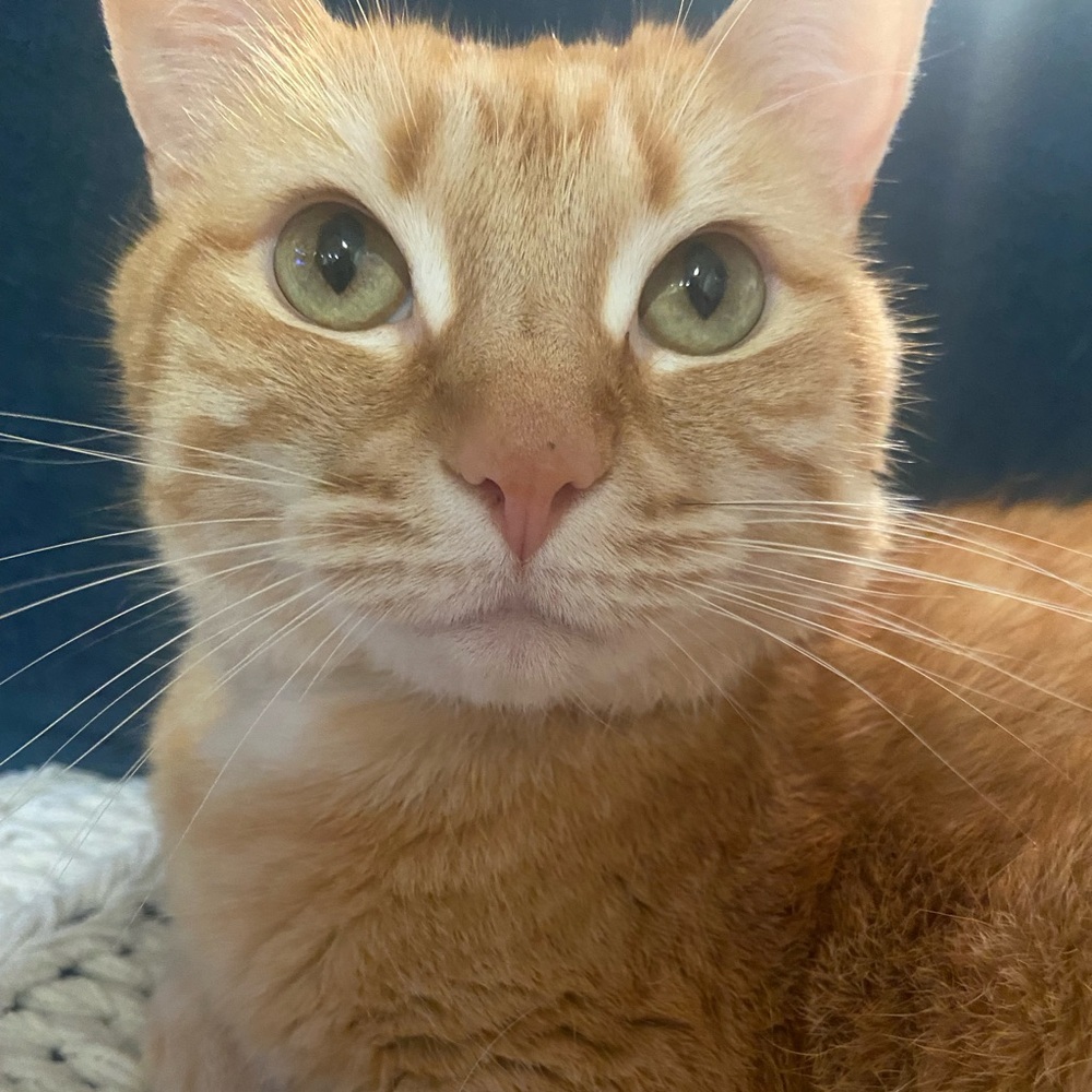 Meet your Posher, Tyler